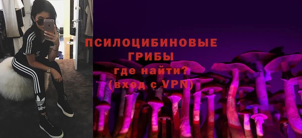 спайс Ельня