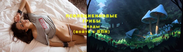 спайс Ельня