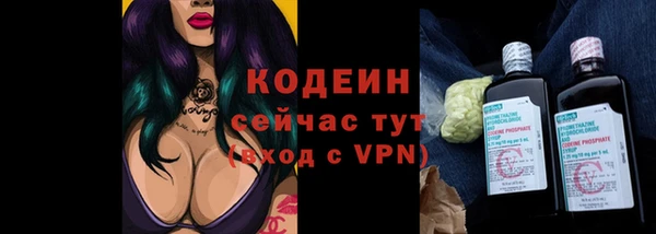 спайс Ельня