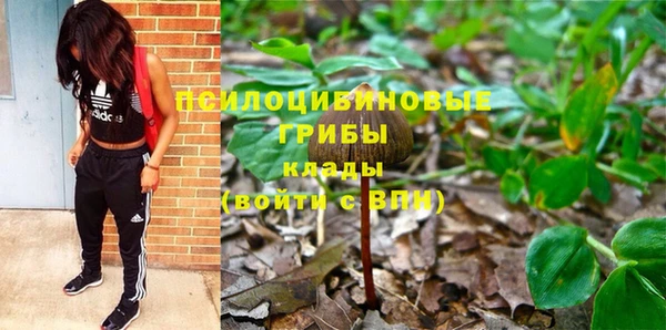 спайс Ельня