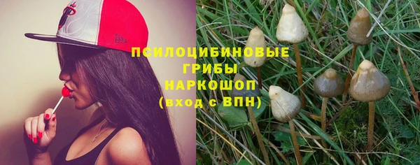 спайс Ельня