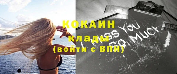 спайс Ельня