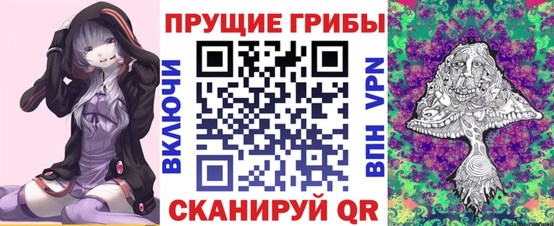 купить  цена  Сенгилей  Псилоцибиновые грибы ЛСД 